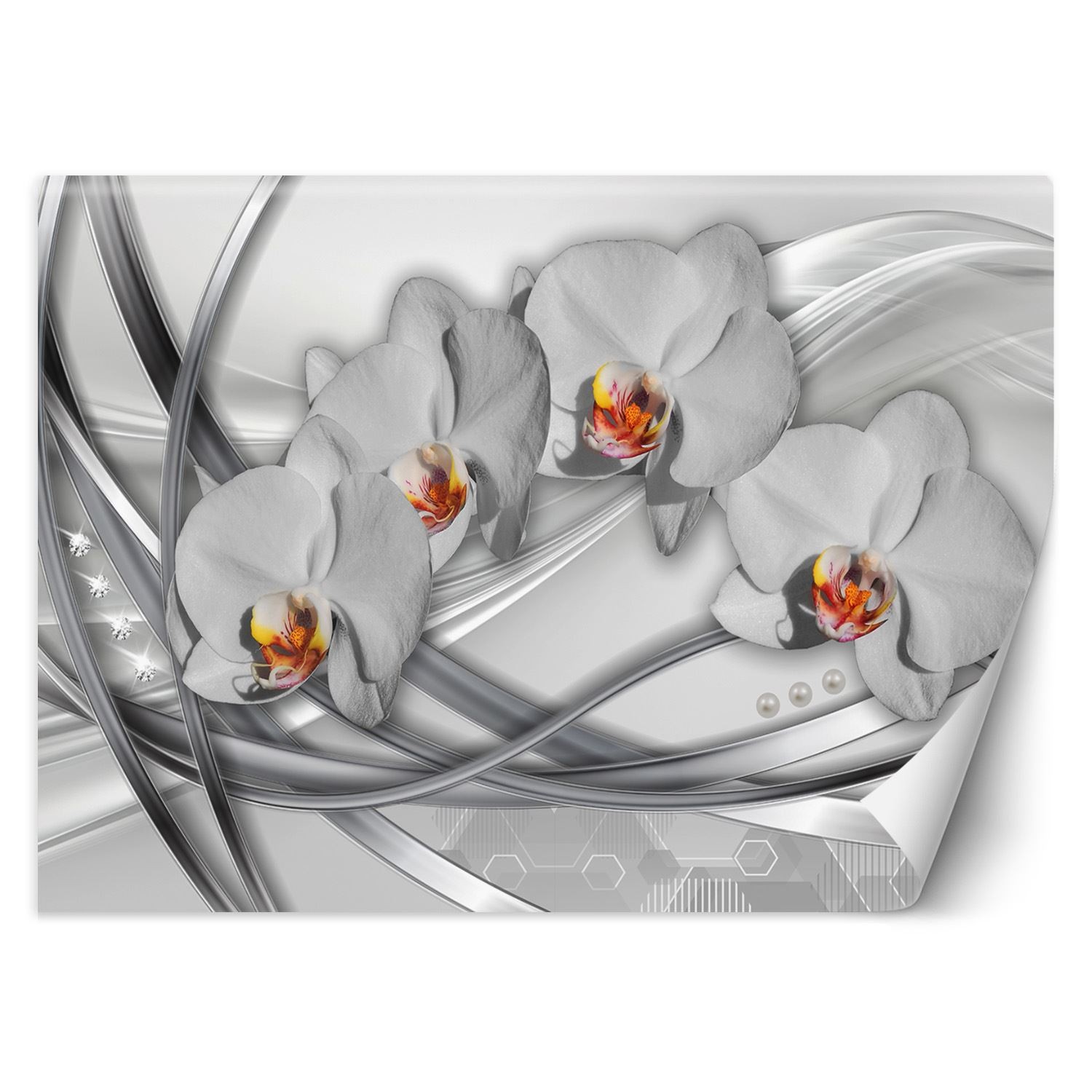 Fototapeta do salonu w abstrakcyjnym i nowoczesnym stylu abstrakcyjnych orchidei